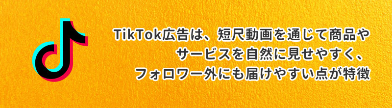 TikTok広告の種類と特徴